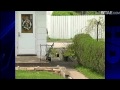 Witnesses Share Tales Of Ninja Encounter