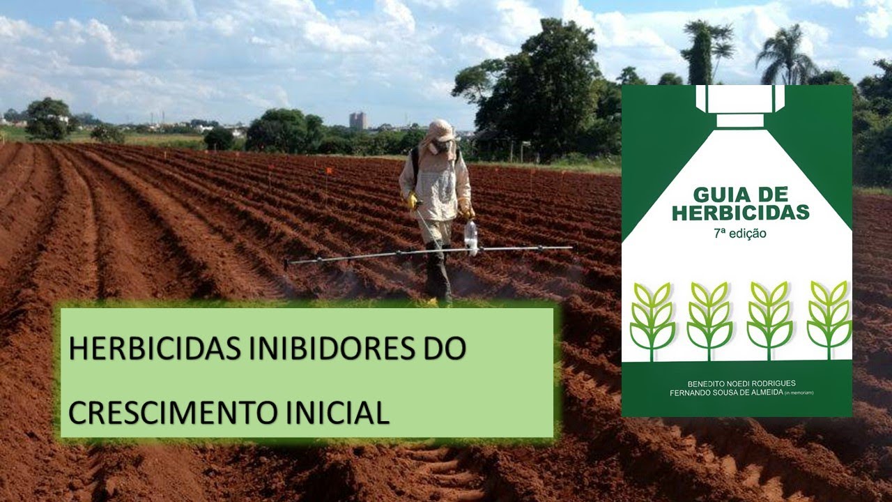 MECANISMO DE AÇÃO: CRESCIMENTO INICIAL