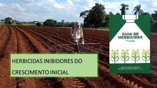 MECANISMO DE AÇÃO: CRESCIMENTO INICIAL