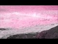 Rachel Zeffira - Break the spell (unofficial video ...