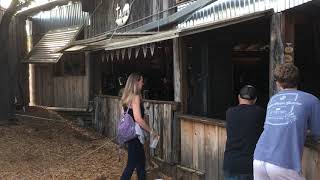 Beat Up Ford - Jack Ingram - Love and War in Texas, Plano, Texas
