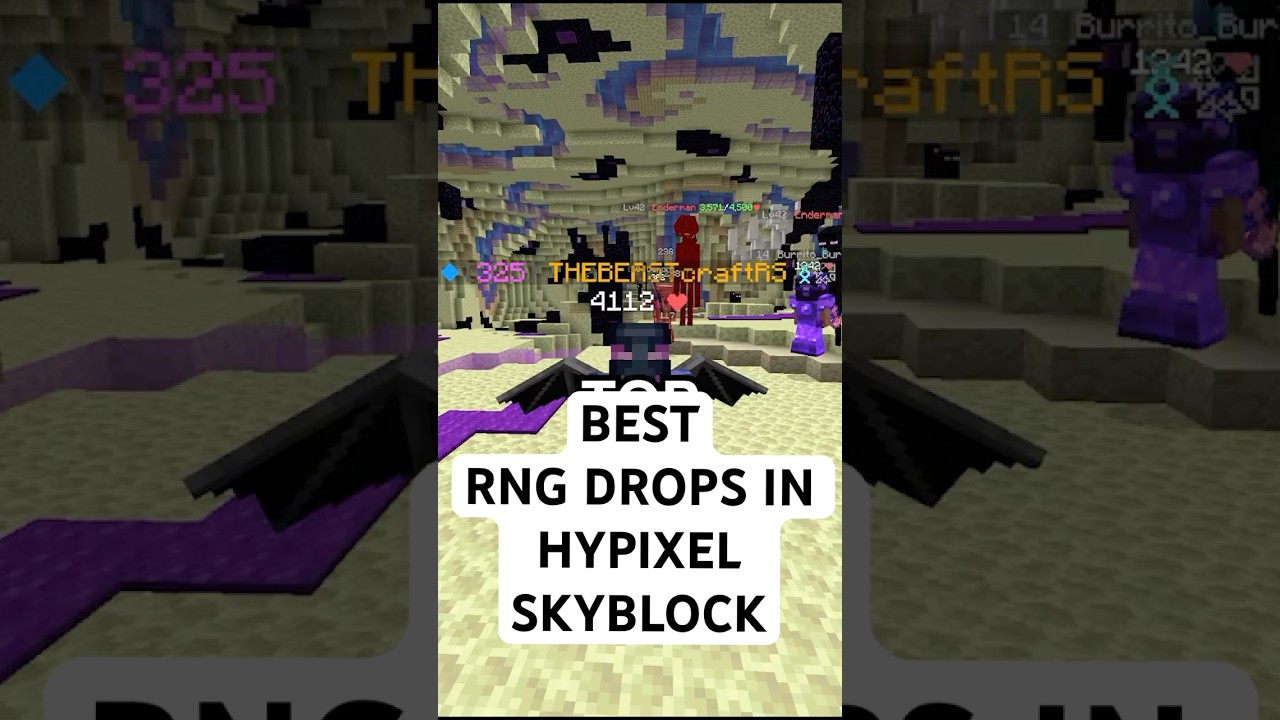 Top 3 BEST RNG drops in Hypixel Skyblock
