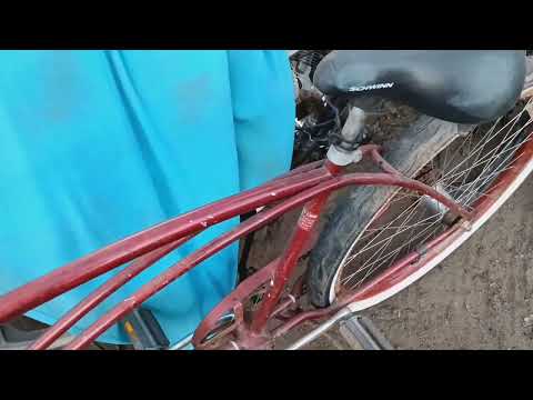 custom classic 1960s Schwinn cruiser