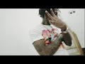 NBA Youngboy - Heart & Soul / Alligator Walk (432hz) NBA Youngboy - Heart & Soul / Alligator Walk (432hz)