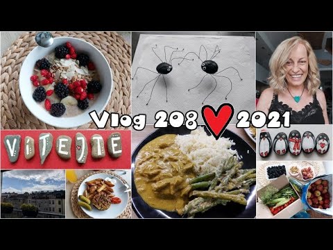 Vlog 208/21 - pohodový pátek, pavouci a papání