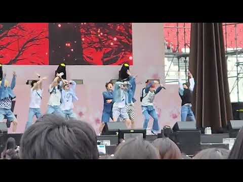 xikers performing tricky house @ Lovesome 230422