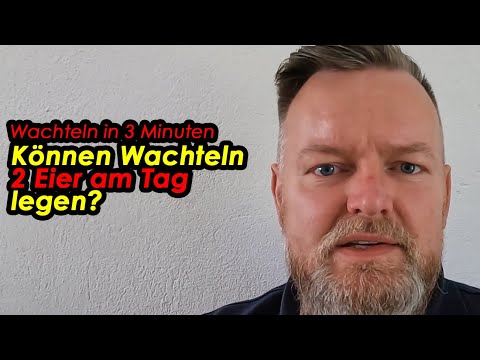 Können Wachteln 2 Eier am Tag legen? #Wachtelnin3Minuten von der Wachtelfarm Hettstedt