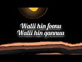 Donii Ankoo Keenya Nuu Bulcha New Afaan Oromo Music