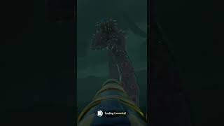 3 Things about the Kraken