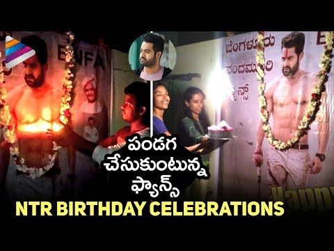 NTR Birthday Celebrations | Fans Celebrating Jr NTR Birthday | #HappyBirthdayNTR | Telugu FilmNagar Video