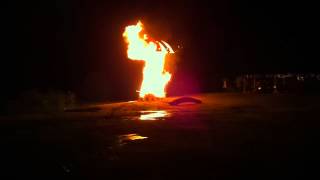 Burn in the Forest 2012 - Burning of Fungus Humungous by Tango