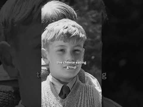 1940s Cheese Propaganda!