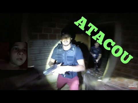 ATAQUEI UM MEMBRO DA EQUIPE Caçadores de Lendas(React)