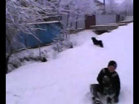 fratii cisman in zapada si se bat