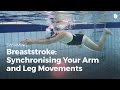 Synchronise Your Arm Strokes And Leg Kicks Breaststroke
