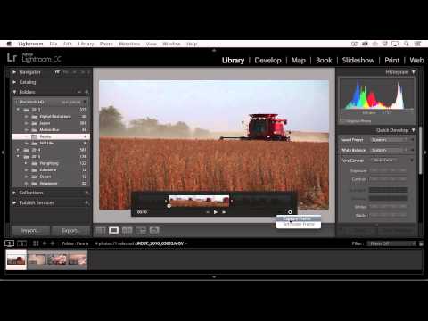 Video