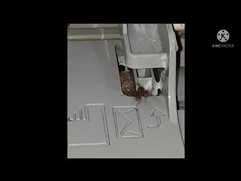 NINHO DE FORMIGA (FORMIGUEIRO) DENTRO DA IMPRESSORA,  PODE ISSO?