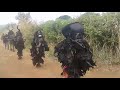 Gule Wankulu
