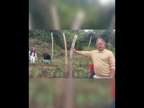 I E LA ESTANCIA SAN PEDRO DE CARTAGO