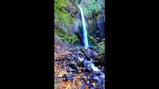 Dry Creek Falls, October 26, 2019