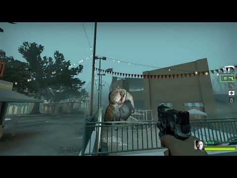 Visual cue for the Charger Barns Solo Skip