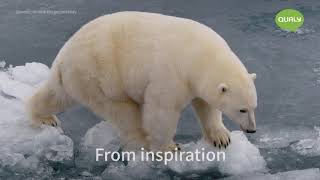 Изображение товара Контейнер для хранения Polar Bear Ocean, 3,5 л