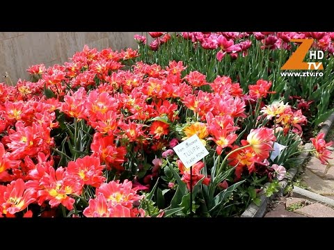 Sute de vizitatori la Gradina Botanica din Jibou de 1 mai