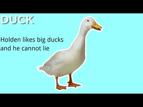 The Catcher in the Rye Rap: Holden Likes Ducks