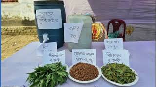 বিশেষ কর্মসূচির মাধ্যমে বিভিন্ন কার্যক্রম বাস্তবায়ন