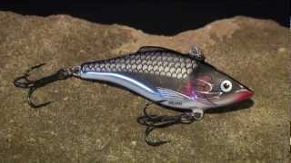 Wobler Rattlin Rapala 07_HBSD
