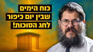 ופרוס עלינו סוכת שלומך - הרב שניאור אשכנזי בשיעור מרתק לקראת חג הסוכות 🌴 (הרב שניאור אשכנזי) - התמונה מוצגת ישירות מתוך אתר האינטרנט יוטיוב. זכויות היוצרים בתמונה שייכות ליוצרה. קישור קרדיט למקור התוכן נמצא בתוך דף הסרטון ופרוס עלינו סוכת שלומך - הרב שניאור אשכנזי בשיעור מרתק לקראת חג הסוכות 🌴 (הרב שניאור אשכנזי) - התמונה מוצגת ישירות מתוך אתר האינטרנט יוטיוב. זכויות היוצרים בתמונה שייכות ליוצרה. קישור קרדיט למקור התוכן נמצא בתוך דף הסרטון