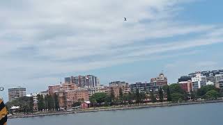 Departure New Castle Australia @uningtvactionclips5590