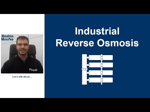 Biofilm Minutes - Industrial Reverse Osmosis