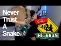 Never Trust A Snake The Simpsons Hit Run OST A Bailey Jams Cover