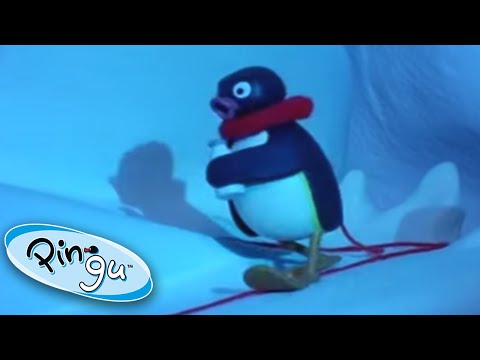 Pingu Gets Lost | Pingu Official | Cartoons for Kids
