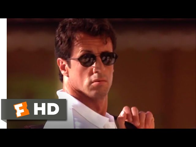 Vídeo relacionado con Sylvester Stallone (Série Héritage t. 2) (French Edition)