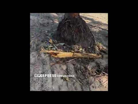 Comienza el Proyecto Marea Residence, Rio Grande, con un Crimen Ambiental