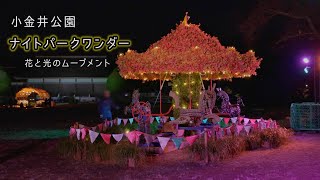 小金井公園ナイトパークワンダー　花と光のムーブメント