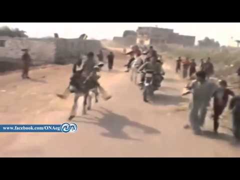 اول سباق للحمير يسجل في مصر