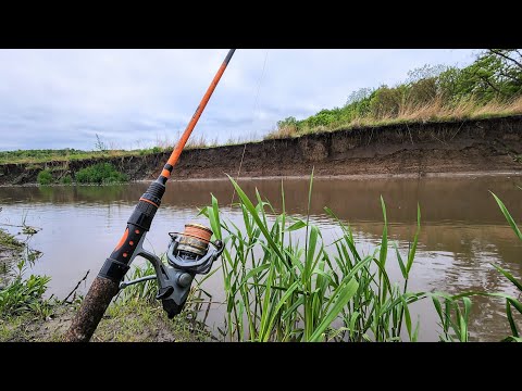 Catfishing a TINY STREAM!! (Bank Fishing)