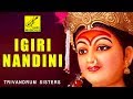 அயிகிரி நந்தினி AIGIRI NANDINI NANDITHA MEDINI MAHISHASURA MARDINI AMMAN