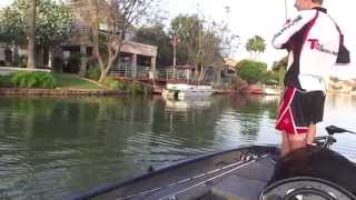 Bass Fishing with Live Target Frogs.