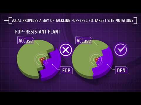 Herbicide Mode of Action: The Science Behind Weed Control