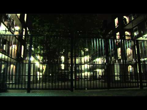 Dog City Trailer (www.dogcityfilm.co.uk)