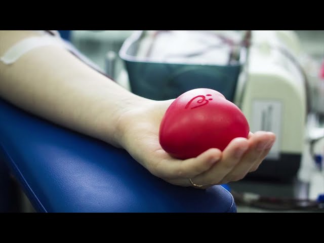 «Единая Россия» участвует в акциях, посвященных дню донора