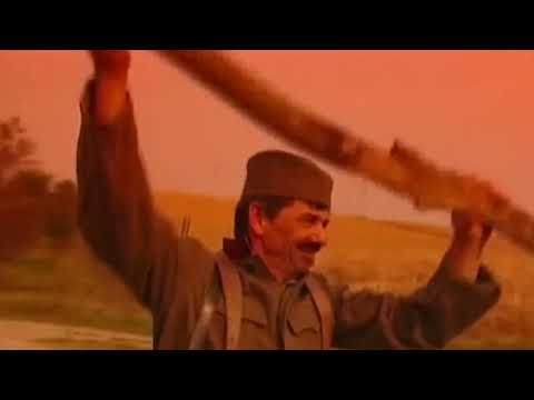 Milos Bojanic i Bane Bojanic - Uzicko kolo ( Official video 1995)HD