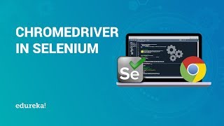 ChromeDriver in Selenium | ChromeDriver Setup in Selenium | Selenium T