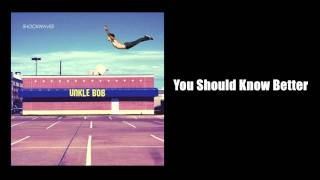 &quot;You Should Know Better&quot; by Unkle Bob