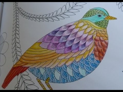 Tropical wonderland colouring in (part 1)