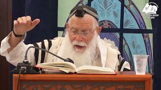 גדר דופן עקומה | הלכות סוכה | הרב אליקים לבנון | 10 (ישיבת ברכת יוסף - אלון מורה) - התמונה מוצגת ישירות מתוך אתר האינטרנט יוטיוב. זכויות היוצרים בתמונה שייכות ליוצרה. קישור קרדיט למקור התוכן נמצא בתוך דף הסרטון גדר דופן עקומה | הלכות סוכה | הרב אליקים לבנון | 10 (ישיבת ברכת יוסף - אלון מורה) - התמונה מוצגת ישירות מתוך אתר האינטרנט יוטיוב. זכויות היוצרים בתמונה שייכות ליוצרה. קישור קרדיט למקור התוכן נמצא בתוך דף הסרטון